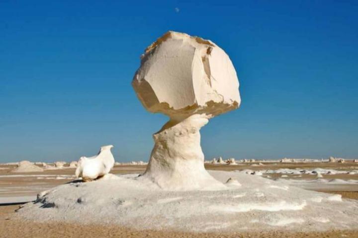 From Cairo 6 Days Package To Fayoum Oasis, White Desert and Bahariya Oasis