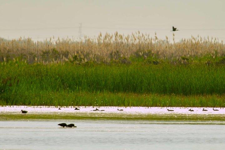 Great Salt Lake Guided Bus Tour from Salt Lake City