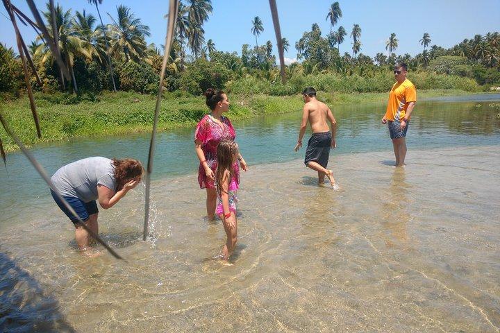 Jungle Coyuca Lagoon Boat Ride Experience & Baby Turtle Release