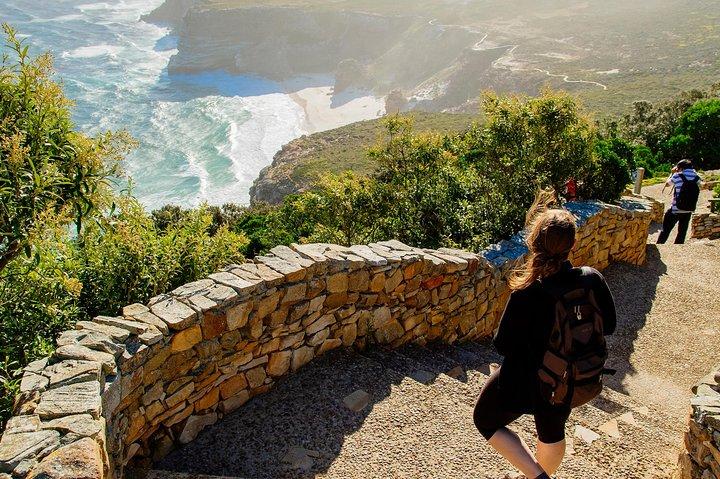 Half day am or pm Boulders Beach & Penguins with visit to Cape Point Great tour