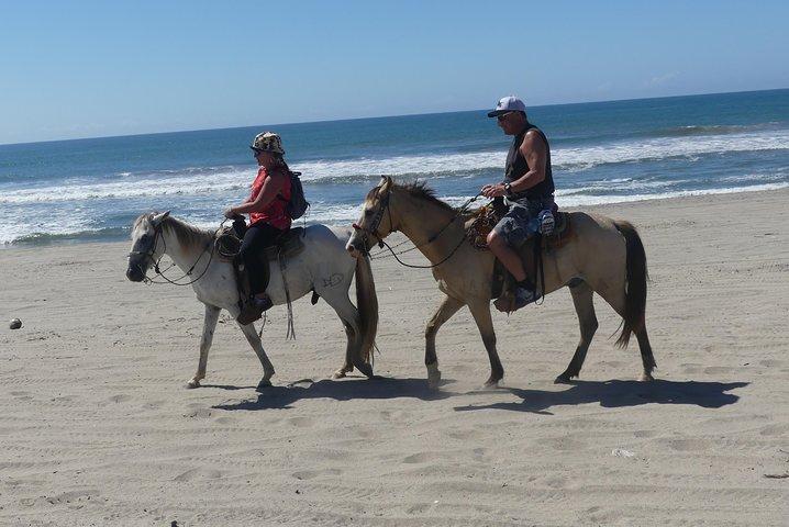 Wild & Free: Lagoon Boat, Beach Horseback, Crocs & Turtle Release