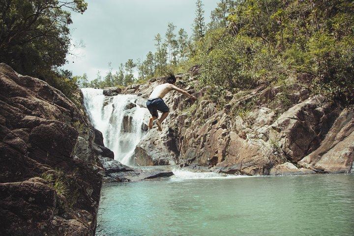 Caracol Day Trip & Mountain Pine Ridge from San Ignacio