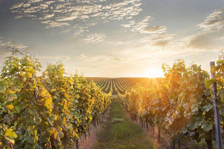 Prague-Vienna One-Way Sightseeing Day Tour