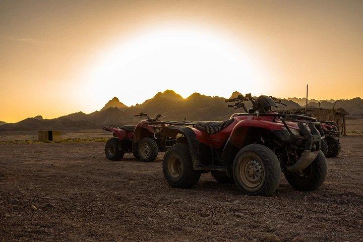 Marrakech Quad & Camel Ride and Traditional Spa