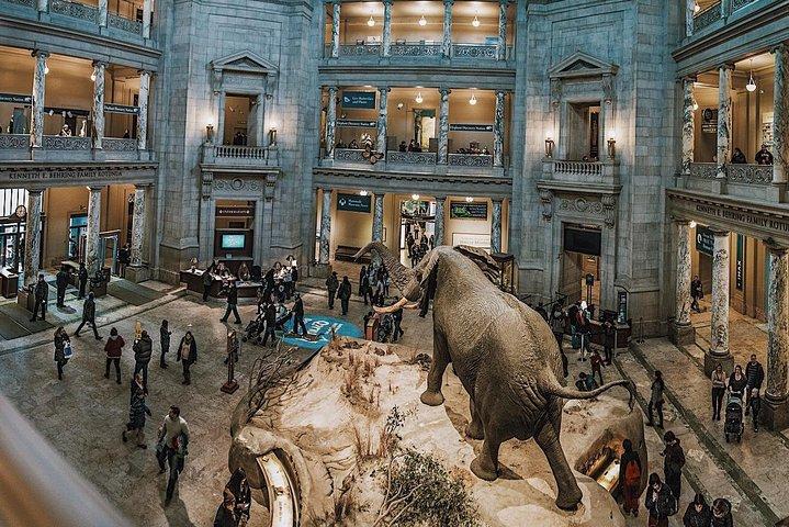 Smithsonian Natural History + Museum of American History 8ppl Max