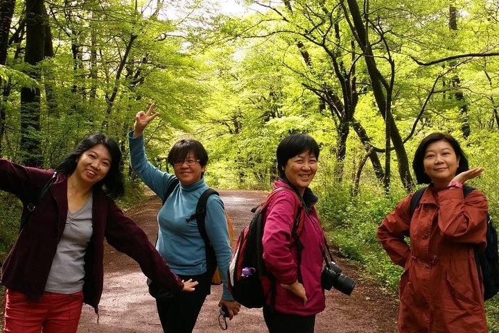 Jeju Island Private Half day Transport : South / West