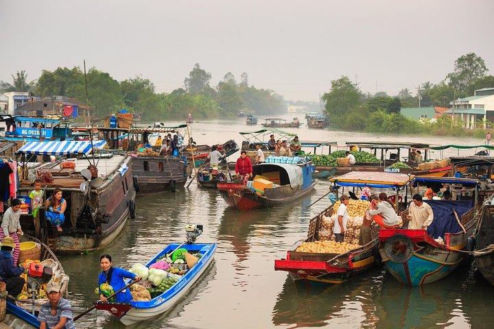 Cu Chi Tunnels & Mekong Delta Full Day Tour Small Group