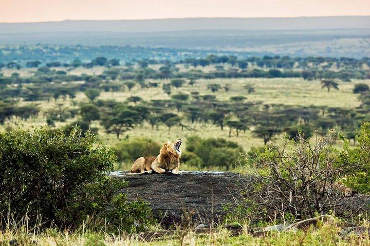 Tanzania Classic - 7 Days