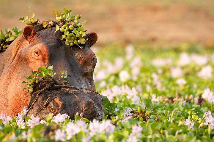 Tanzania Enticing Explorations - 6 Days