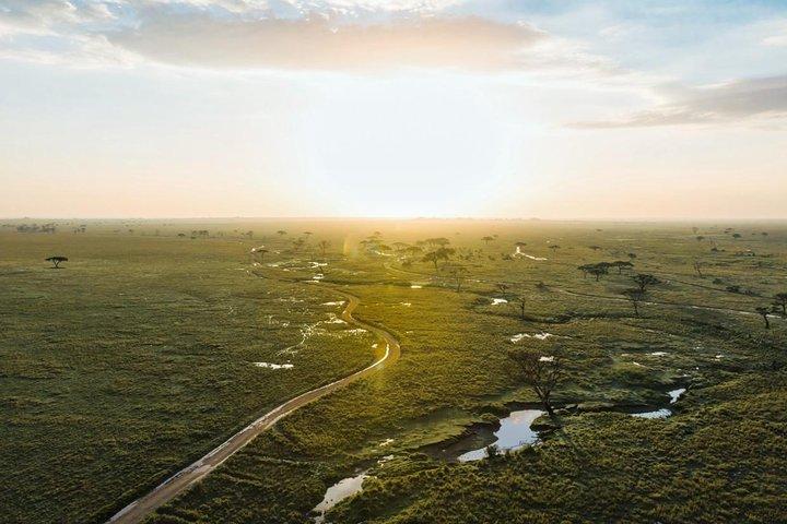 Tanzania Enticing Explorations - 6 Days