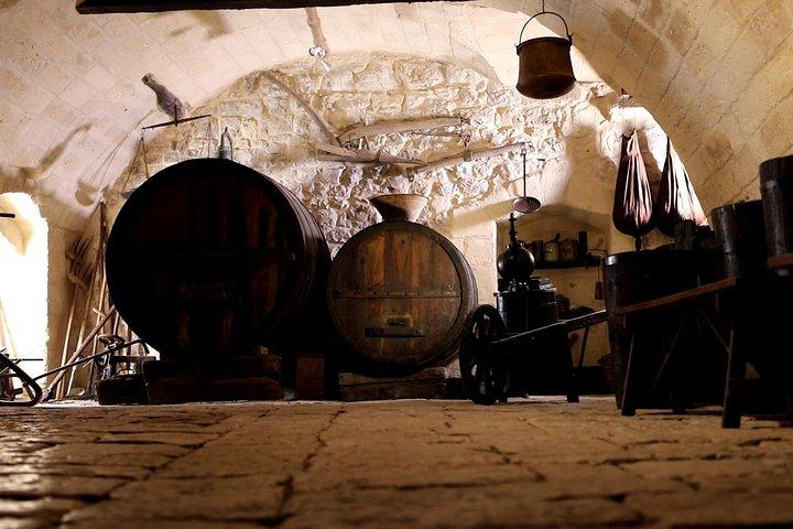 Guided tour and tasting at La Cantina Frrud - Wine Museum