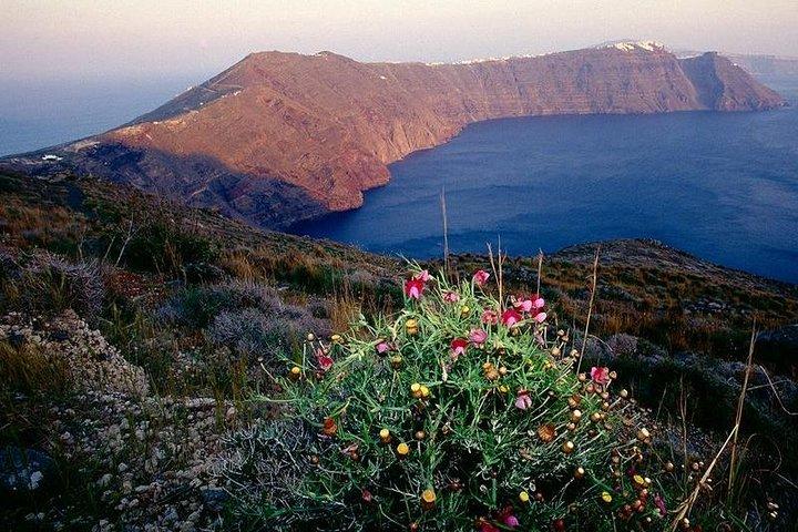 Santorini Private walking tour The Magic Of Caldera