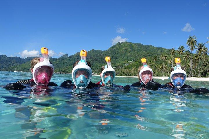 Sea Scooter Snorkeling: Sharks, Stingrays, Turtles & Coral