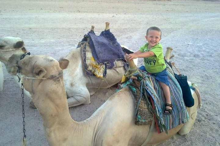 Camel ride & dinner with the Bedouin & star gazing in Sharm el Sheikh