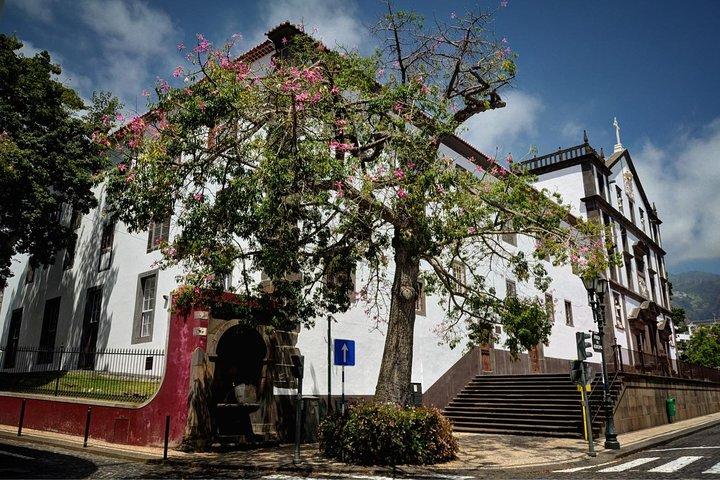 Madeira Grand Experience by Tukxi, Private Tour