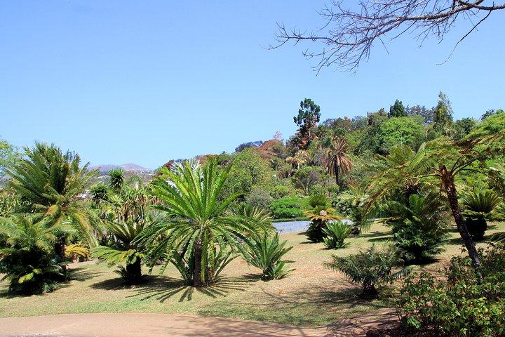 Private Botanical Garden Tour