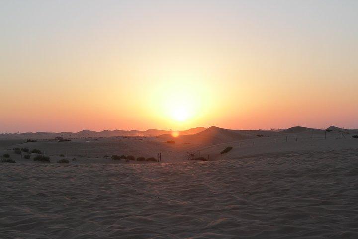 Abu Dhabi Desert Safari with BBQ Dinner & Shows