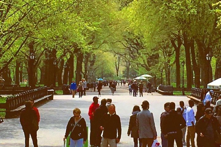 Pedicab Guided Tour of Central Park