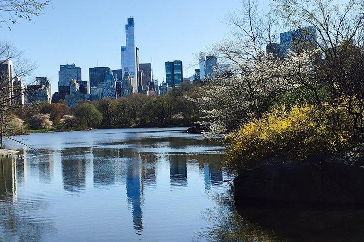 Pedicab Guided Tour of Central Park