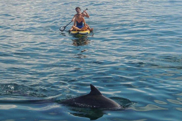 Watamu Marine Park & Sudi Island Mangrove Forest Canoe Ride.With sea food lunch