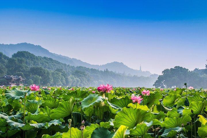 Yunxi Bamboo Forest and West Lake Private Day Tour with Tea Plantation Experience