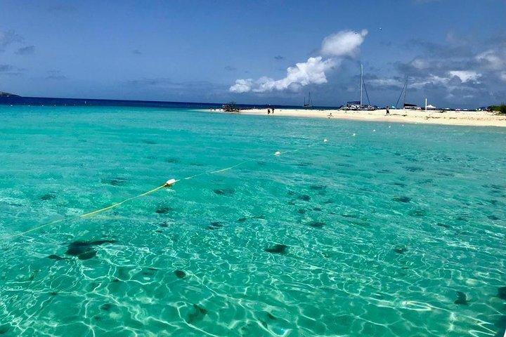 Day Sail with Transportation from San Juan, Condado, Isla Verde!!