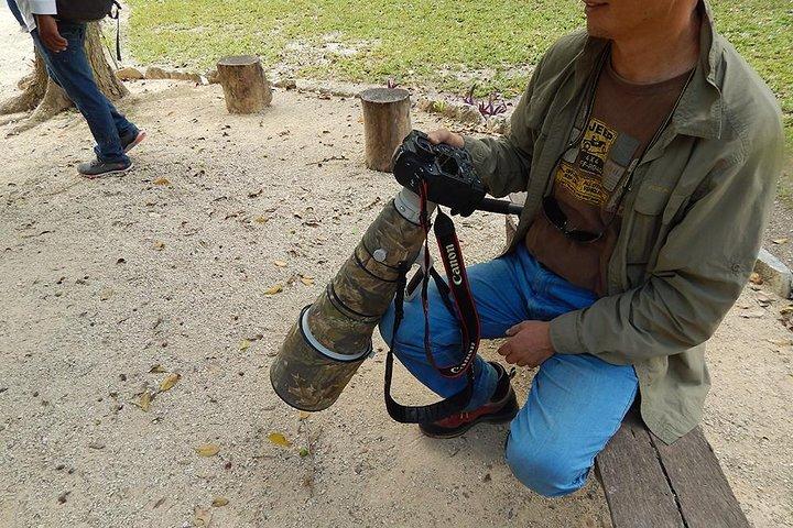 Private Tour: Birdwatching from Cancun