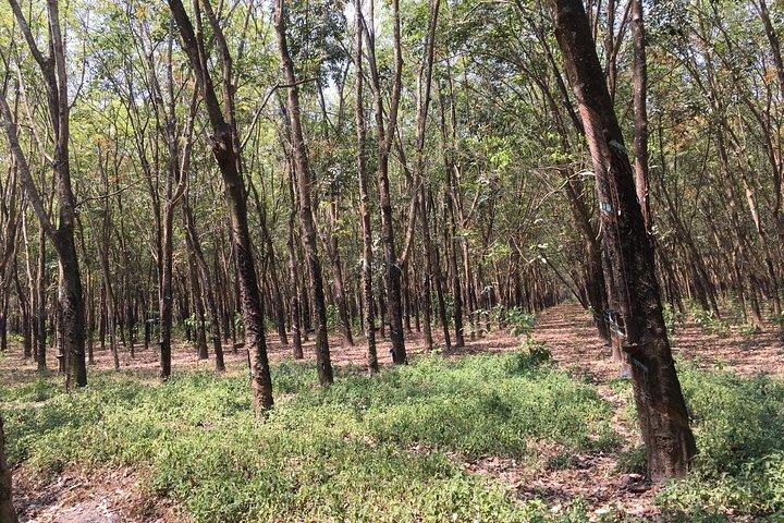 Ben Duoc - Authentic Cu Chi Tunnels Private Tour