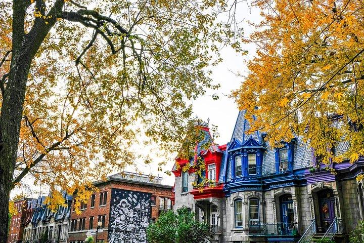 Montreal's Plateau Mont-Royal and Mile End Tour by MTL Detours