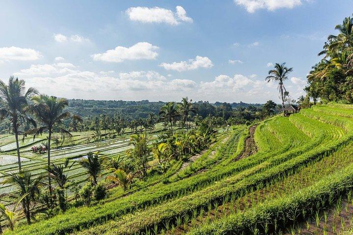 West Bali Tour: Taman Ayun, Ulun Danu Beratan, Jatiluwih Rice Terrace, Tanah Lot