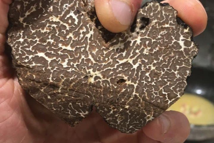 Private Hunting Of Truffle And Mushrooms With Chef Luigi Gandola In Bellagio