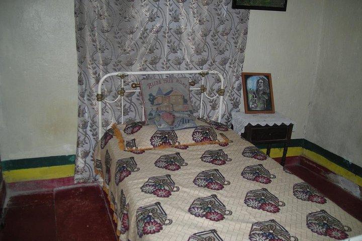 Bob Marley's Nine Mile Day-Trip with Admission & Guided Tour from Falmouth