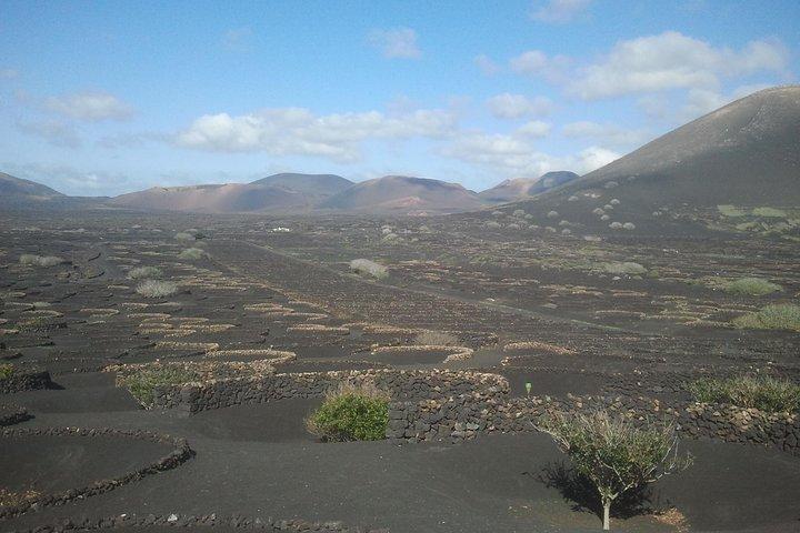 Vineyards of La Geria hiking tour