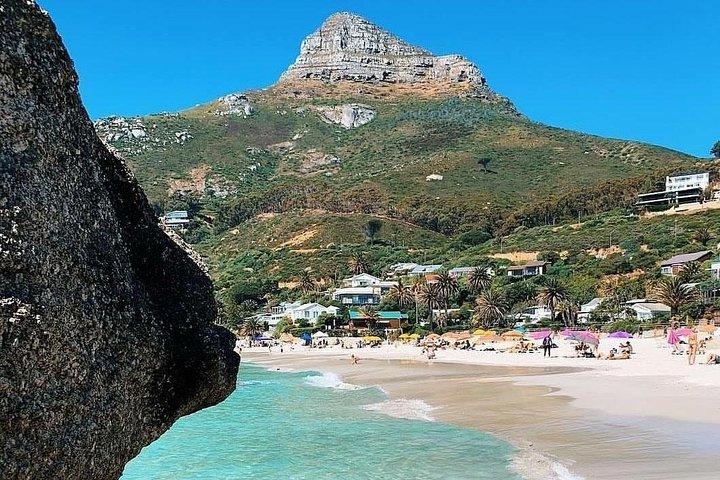 Cape Town: Cape Peninsula Private Tour Full Day