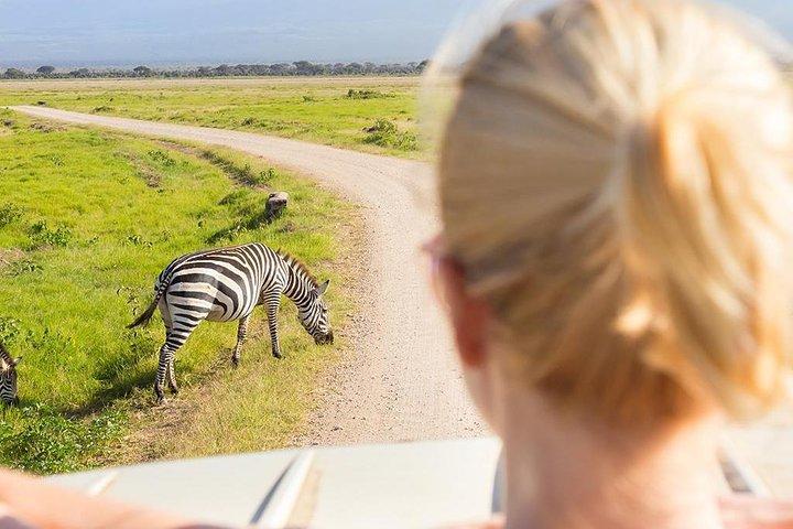 5 Days Budget Tanzania Safari: Serengeti and Ngorongoro Crater