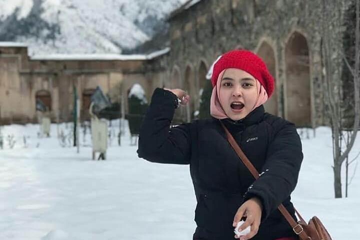 Private 5-Day Charming Kashmir Package Tour from Srinagar