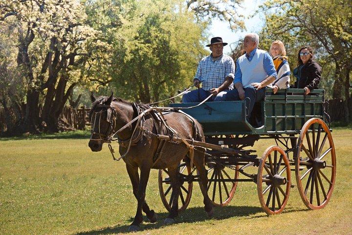 Private Day Tour to an Argentinian Estancia
