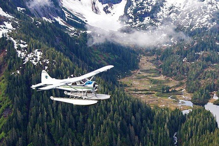 Misty Fjords Flightseeing 1 hour