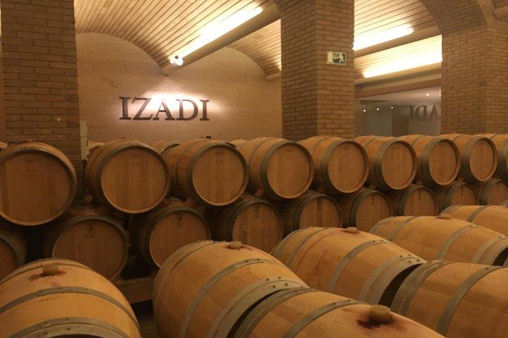 Semi-Private Rioja Tour of 3 Premium Wineries from Bilbao
