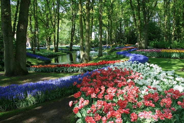 Private Day Trip from Amsterdam to Keukenhof with Entrance Tickets