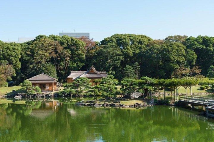 Private Chartered Taxi Tour of Tokyo
