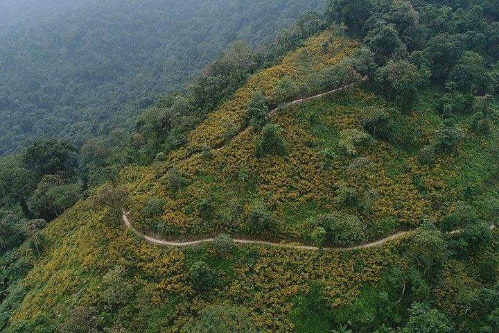 Ba Vi National Park Private Tour: Sightseeings & Jungle Hikking