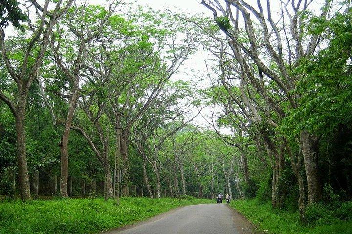 Ba Vi National Park Private Tour: Sightseeings & Jungle Hikking