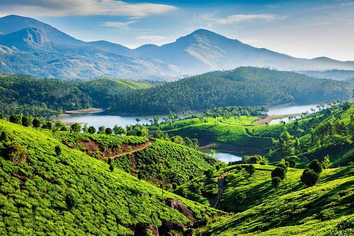 South India Tour- Temple Architecture and Backwaters