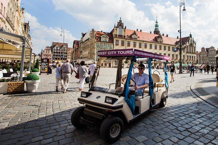 Wroclaw, 1- hour or 2-hours Group Tour by Electric Car