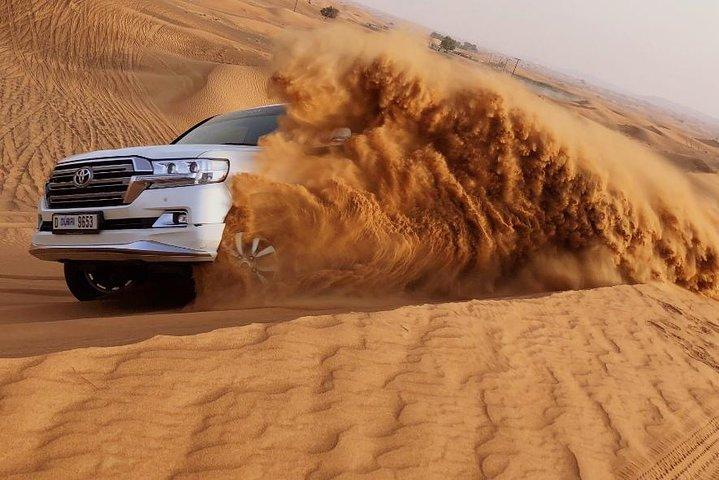 4 Hours Dubai Desert Experience: Camel + Sandboard + Falcon Photo