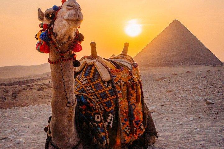 Private full day to Giza Pyramids,Sphinx & Grand Egyptian Museum