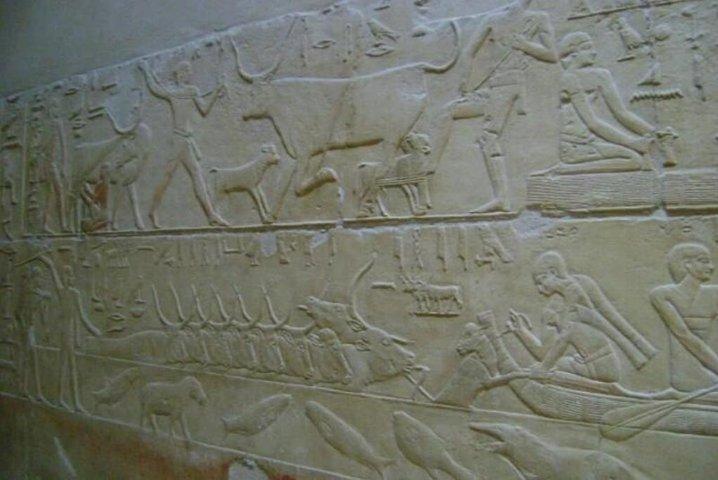 Private full day tour to Memphis,Saqqara,Giza Pyramids & Sphinx