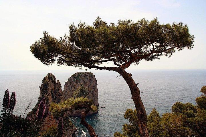 Capri Private Full Day Tour from Rome with Monte Solaro.