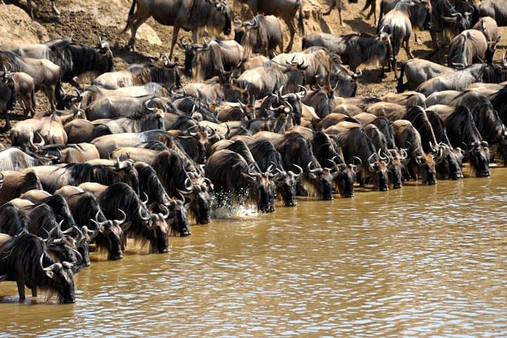 3-Days Tsavo West National Park Wildlife Safari From Nairobi